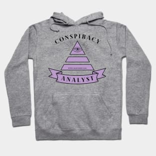 Conspiracy Analyst Hoodie